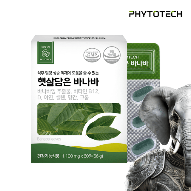 파이토테크 햇살담은 바나바 영양제 바나바잎 추출물 60정