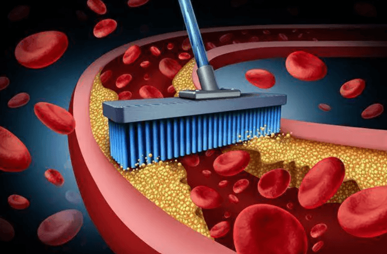 끈적끈적한 혈관을 깨끗하게 하는 혈관 청소 음식 4가지